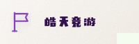合作伙伴